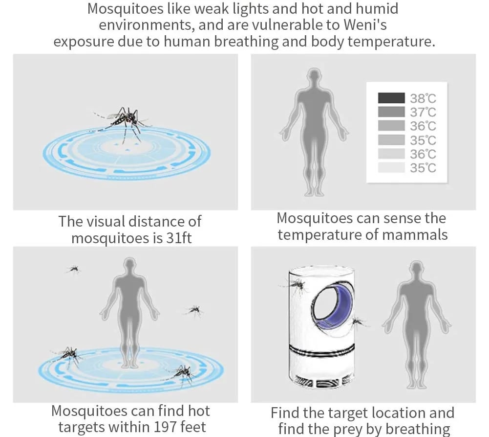 Mosquito & Fly Killer Trap